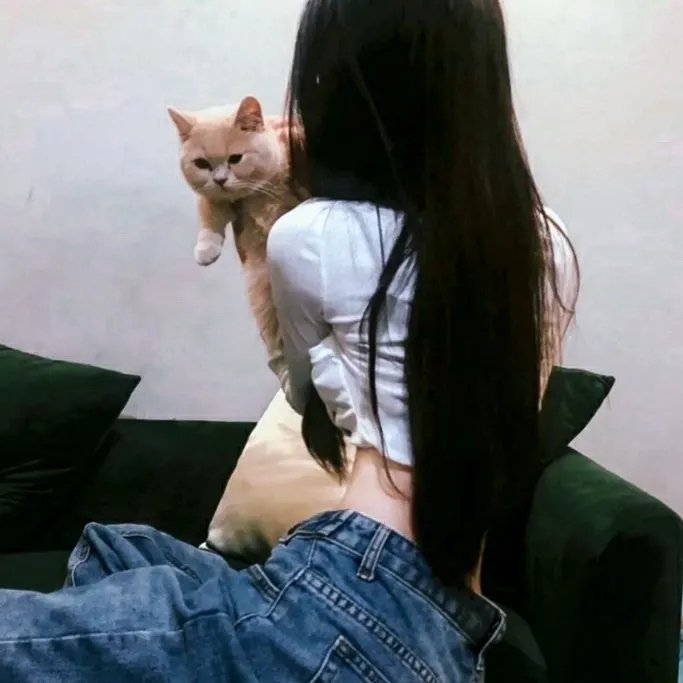 红猪